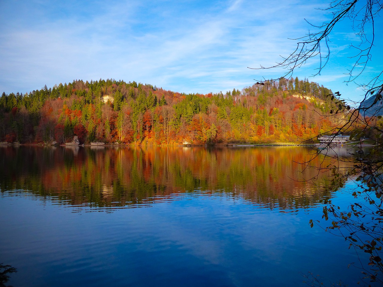 Ruduo, Hečcjas, Tyrol, Bergsee, Žuvis, Žygis, Atsigavimas, Veidrodis, Kraštovaizdis, Nemokamos Nuotraukos