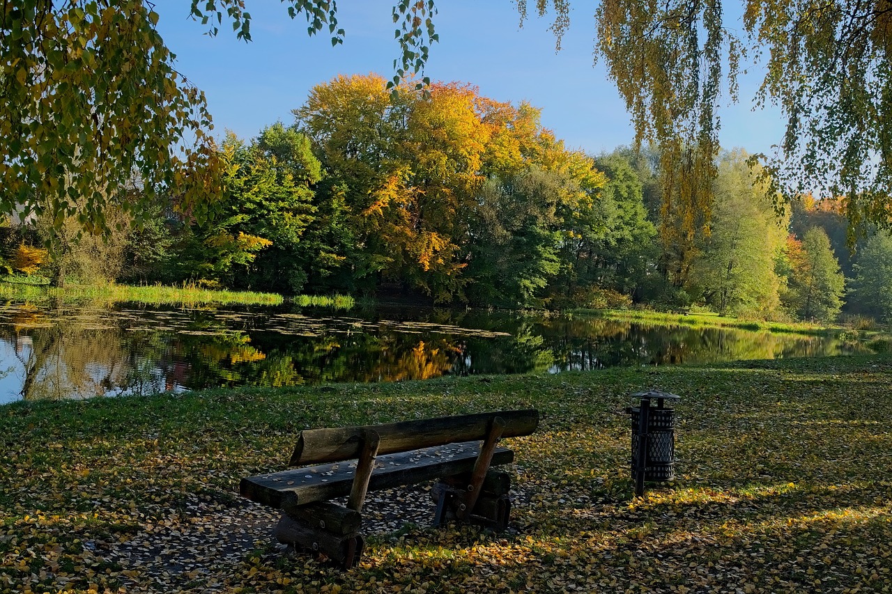 Ruduo, Stendas, Parkas, Medis, Lapija, Gamta, Rudens Auksas, Geltonieji Lapai, Tvenkinys, Ežeras