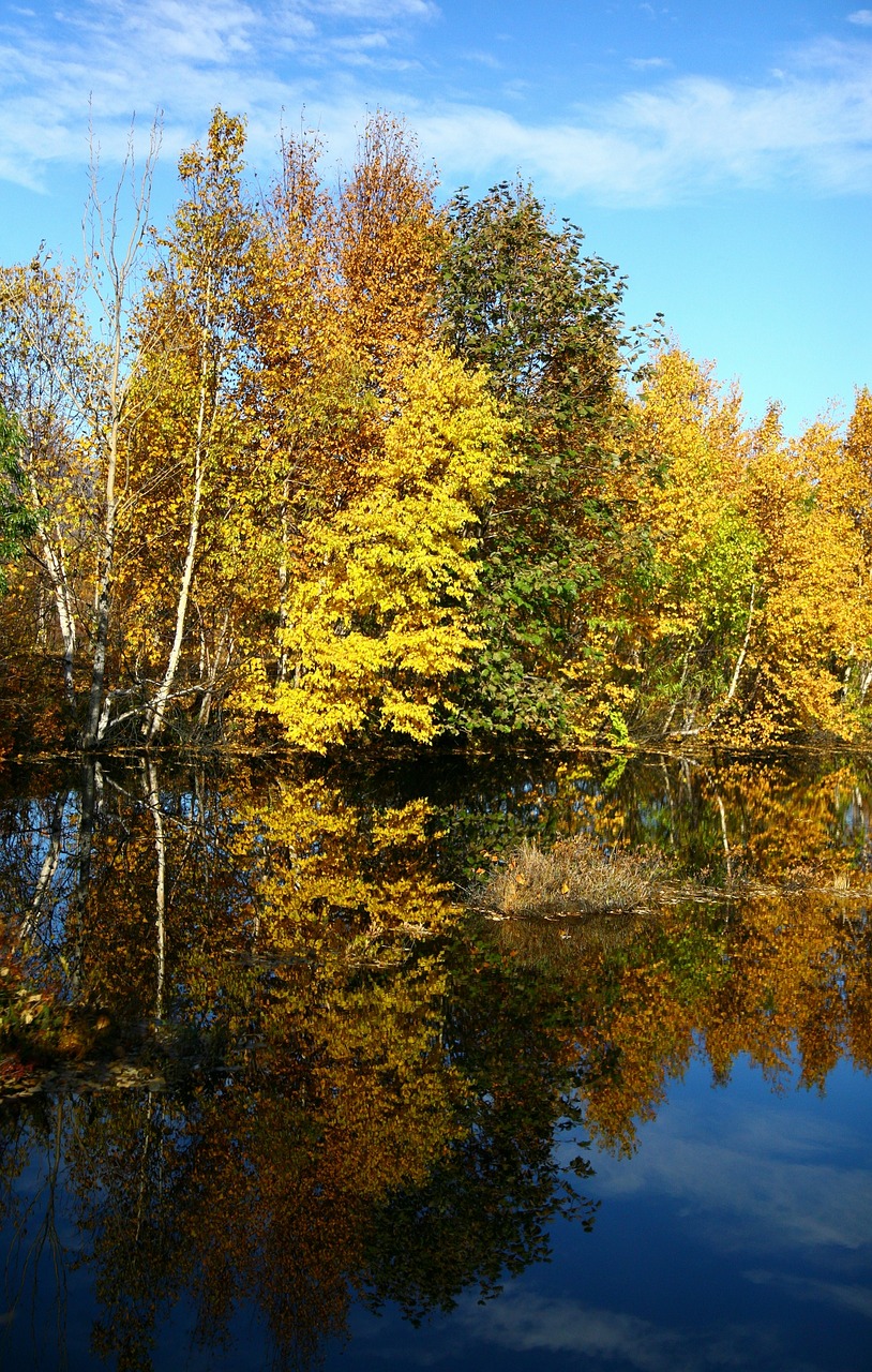 Ruduo, Miškas, Ežeras, Atspindys, Rudens Miškas, Aukso Ruduo, Rudens Lapai, Kritimo Spalvos, Listopad, Dangus