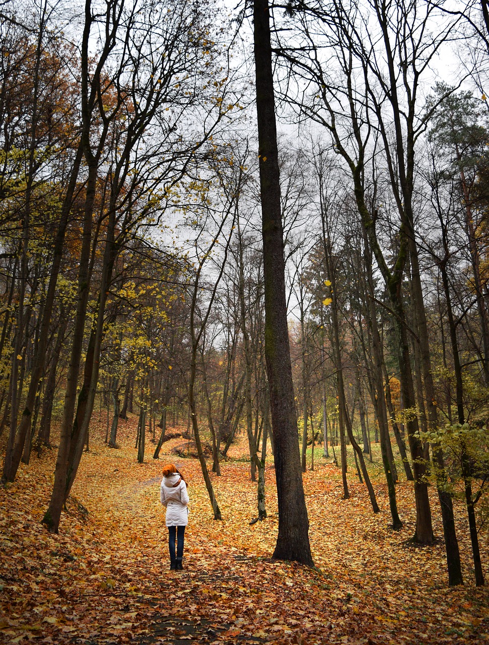 Ruduo, Mergaitė, Medžiai, Miškas, Vaikščioti, Pasivaikščiojimas, Parkas, Kritimas, Jaunas, Moteris