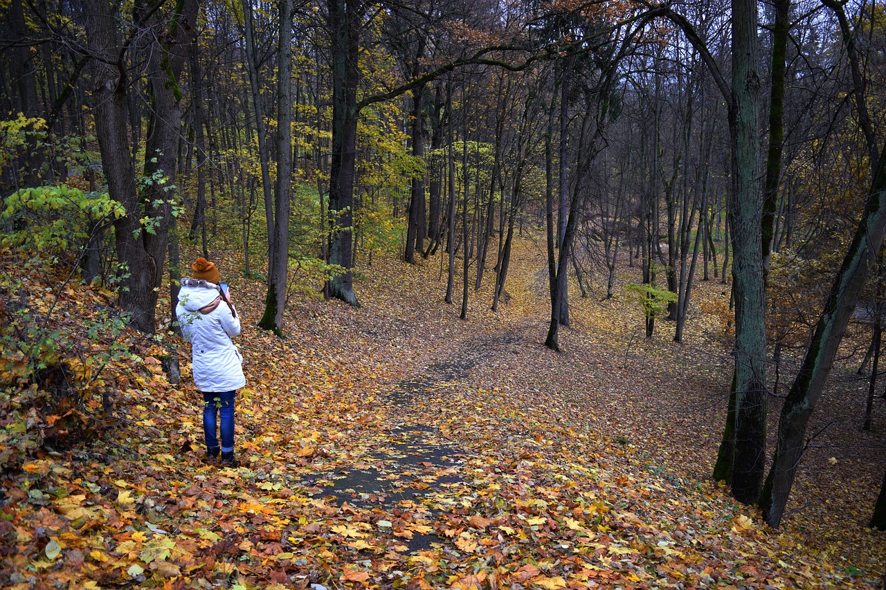 Ruduo, Mergaitė, Medžiai, Miškas, Vaikščioti, Pasivaikščiojimas, Parkas, Kritimas, Jaunas, Moteris