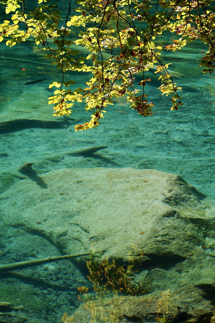 Ruduo, Spalva, Gamta, Lapai, Kritimo Lapija, Lapai, Aukso Ruduo, Auksinis, Ežeras, Bergsee