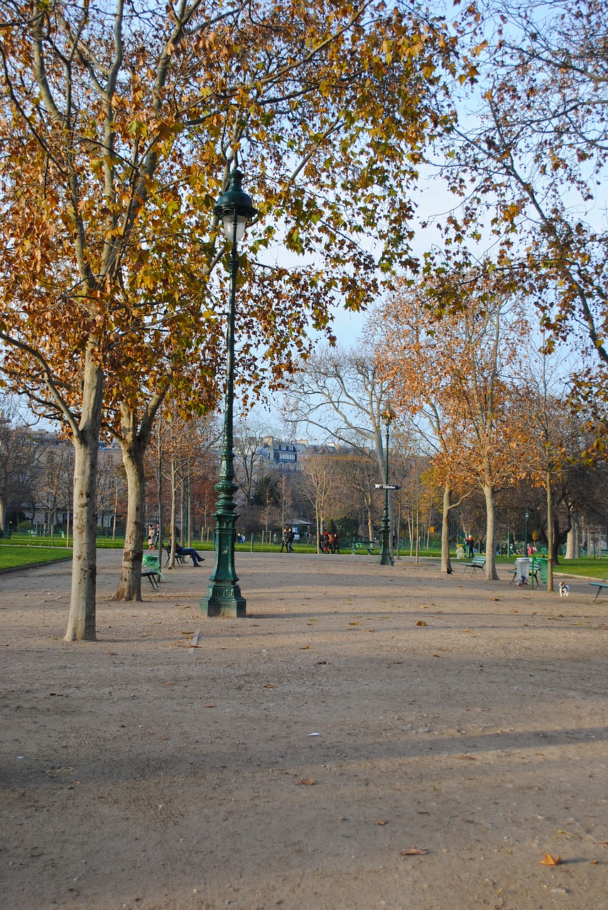 Ruduo, Paris, Parkas, Vaikščioti, Centras, Architektūra, France, Produkcija, Žygiai, Gatvė