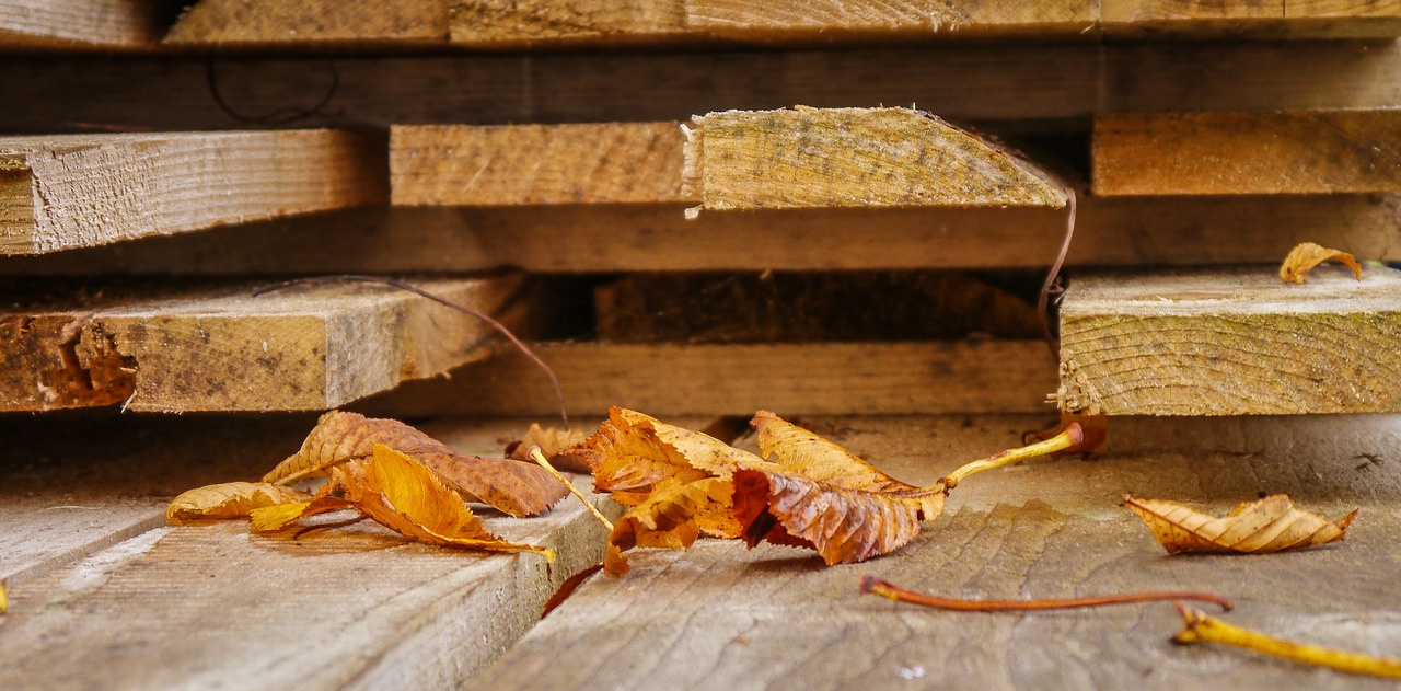 Ruduo, Rudens Pradžia, Lapai, Kaštonas, Mediena, Lentos, Ruda, Nudrus, Gamta, Lapai