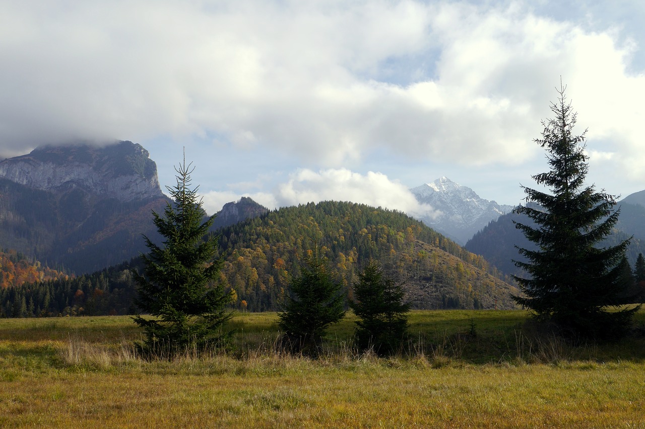 Ruduo, Spalvos, Debesys, Medžiai, Dangus, Slovakija, Gamta, Kalnai, Šalis, Tatry