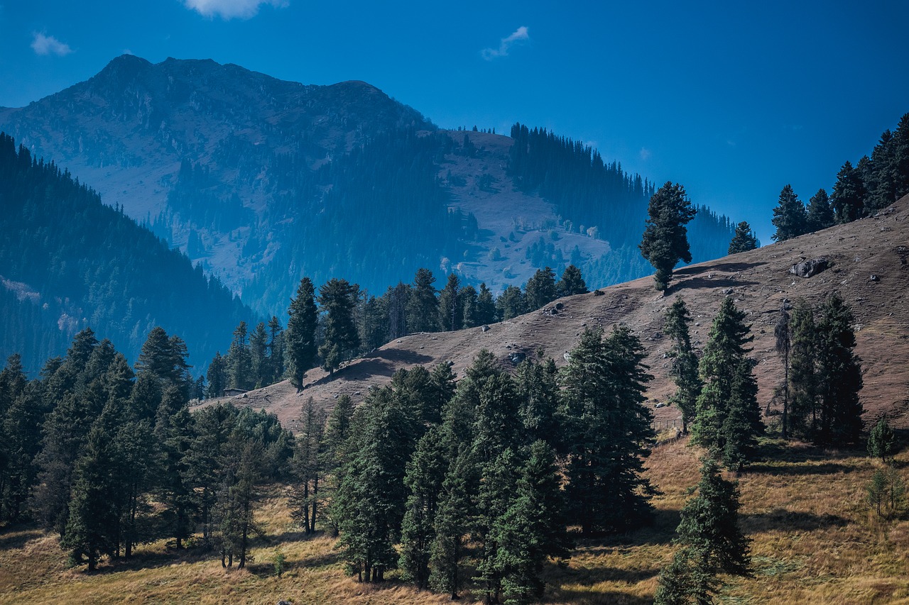 Ruduo, Pahalgam, Rudens Sezonas, Ankstus Rytas, Kalnai, Medžiai, Pušies Tress, Dangus, Debesys, Mėlynas Dangus