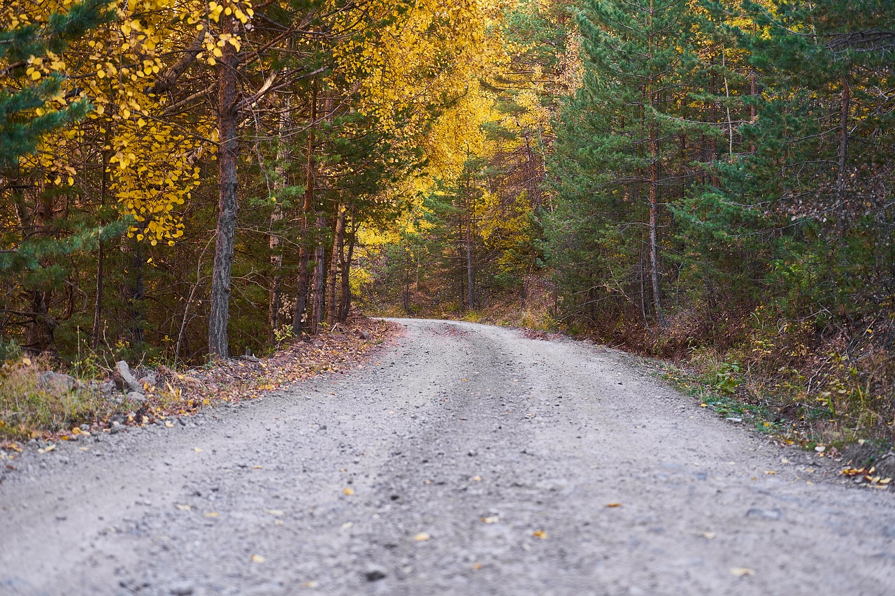 Ruduo, Sezonas, Kraštovaizdis, Gamta, Gražus, Fonas, Lauke, Nudrusių Lapų, Lapai Yra, Žiemos Sezonas