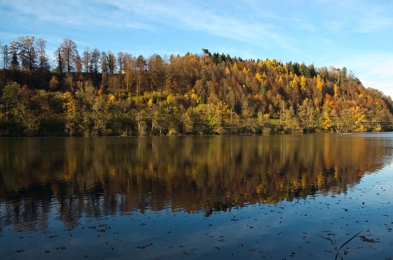 Ruduo, Rudens Miškas, Veidrodis, Atspindys, Gamta, Vandenys, Ežeras, Miškas, Rotsee, Kraštovaizdis