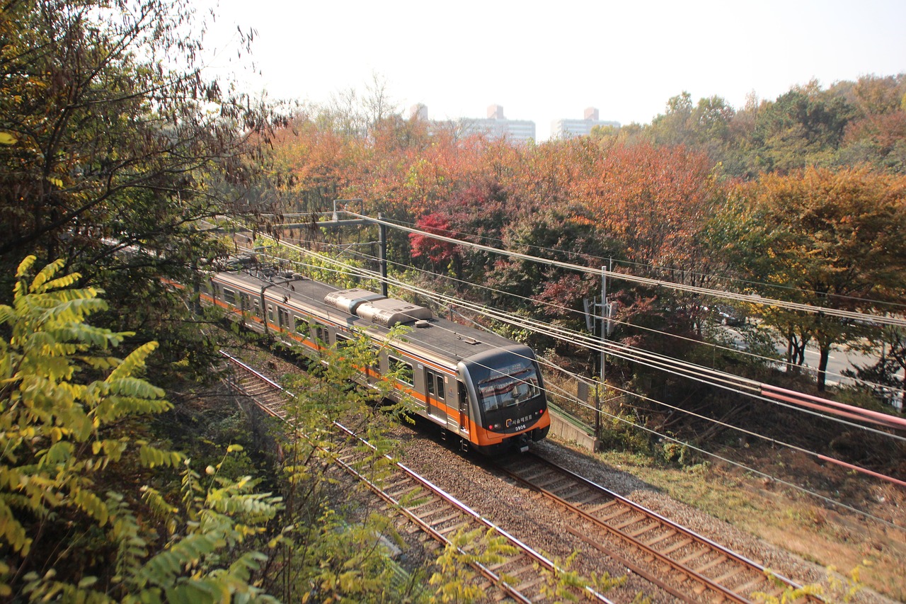 Ruduo,  Pobūdį,  Mediena,  Lapų,  Kelionė,  Traukinys,  Metro,  Korėja,  Korėjos Respublika,  Pietų Korėja Metro