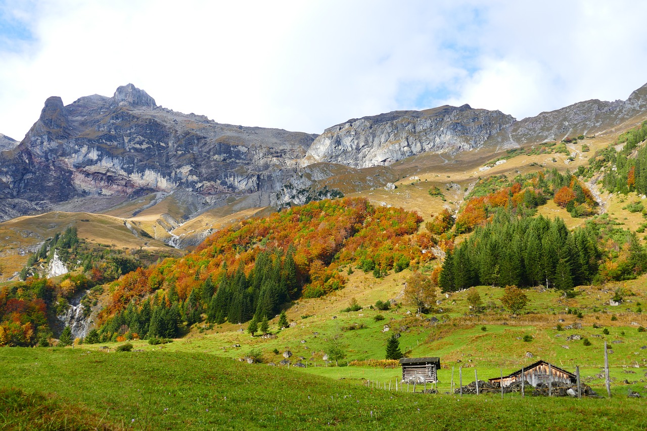 Ruduo, Rudens Miškas, Spalvinga, Kalnai, Medžiai, Lapai, Kritimo Lapija, Gamta, Atsiras, Kritimo Spalva