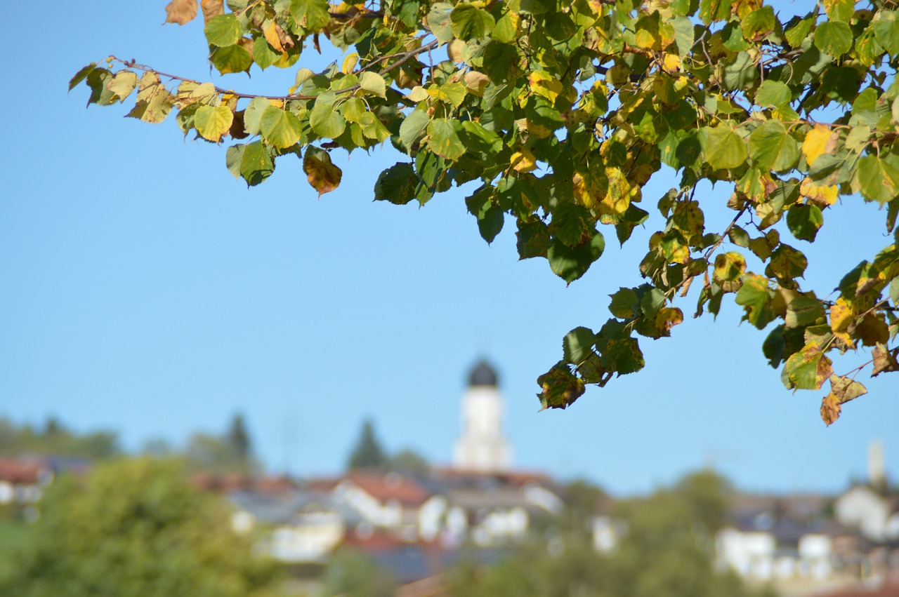 Ruduo, Dangus, Lapai, Rudens Spalvos, Kaimas, Žemė, Allgäu, Rettenberg, Nemokamos Nuotraukos,  Nemokama Licenzija