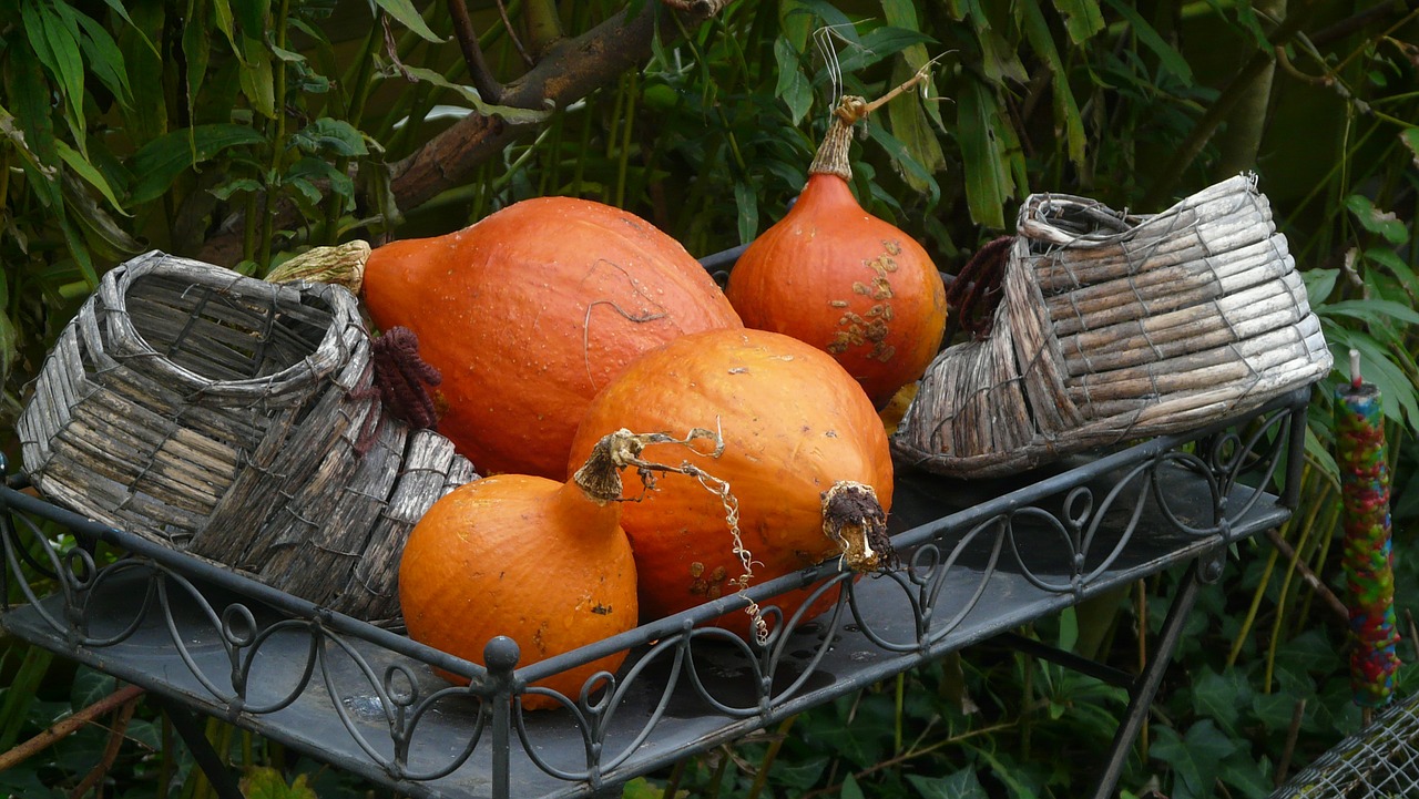 Ruduo, Halloween, Moliūgas, Nemokamos Nuotraukos,  Nemokama Licenzija