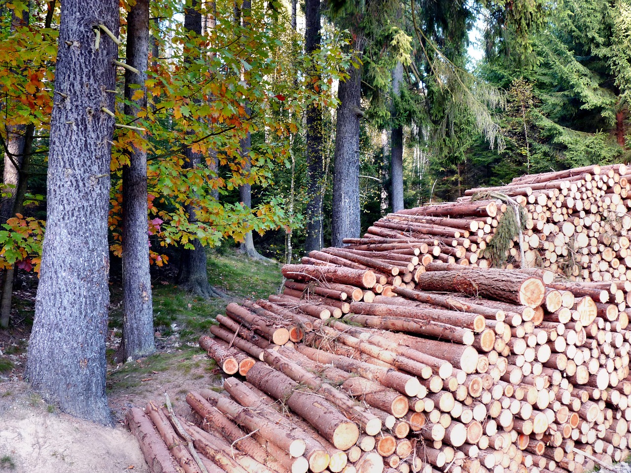 Ruduo, Holzstabel, Spalvinga, Nemokamos Nuotraukos,  Nemokama Licenzija