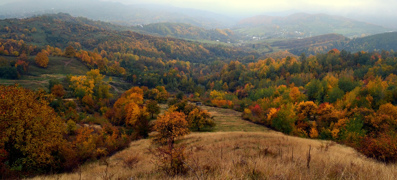 Ruduo, Kalvos, Kritimo, Kraštovaizdis, Gamta, Lauke, Kritimas, Sezonas, Miškas, Kaimas