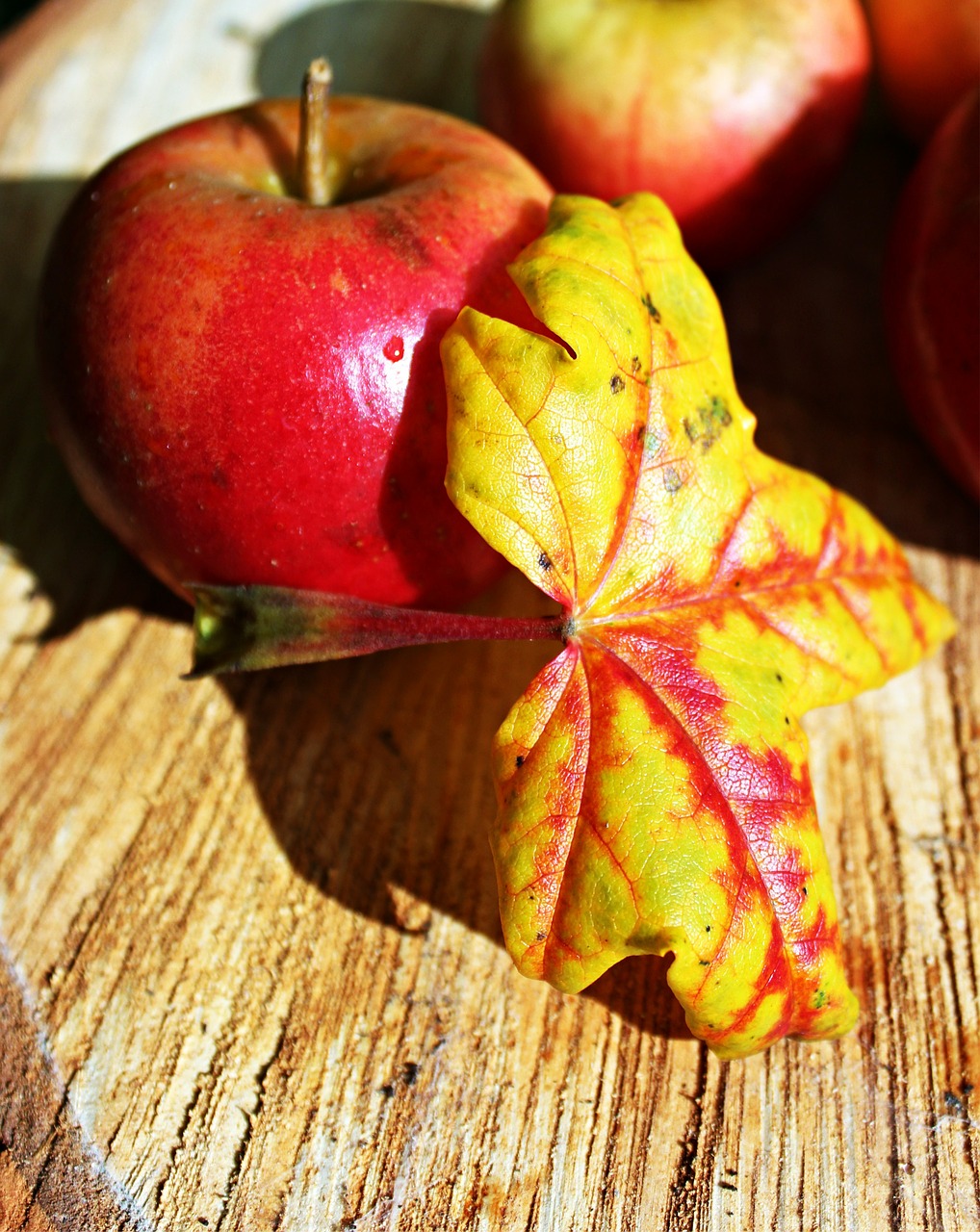 Rudens Lapas, Obuolys, Raudona, Rudens Nuotaika, Gamta, Derlius, Ruduo, Nuotaika, Nemokamos Nuotraukos,  Nemokama Licenzija