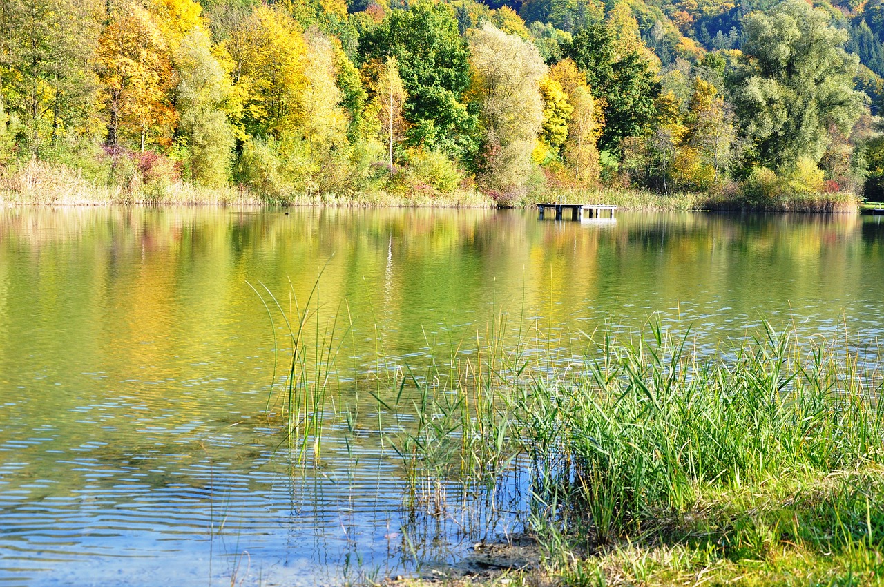 Rudens Nuotaika, Farbenpracht, Ežeras, Rami Rudens Nuotrauka, Vanduo, Nemokamos Nuotraukos,  Nemokama Licenzija