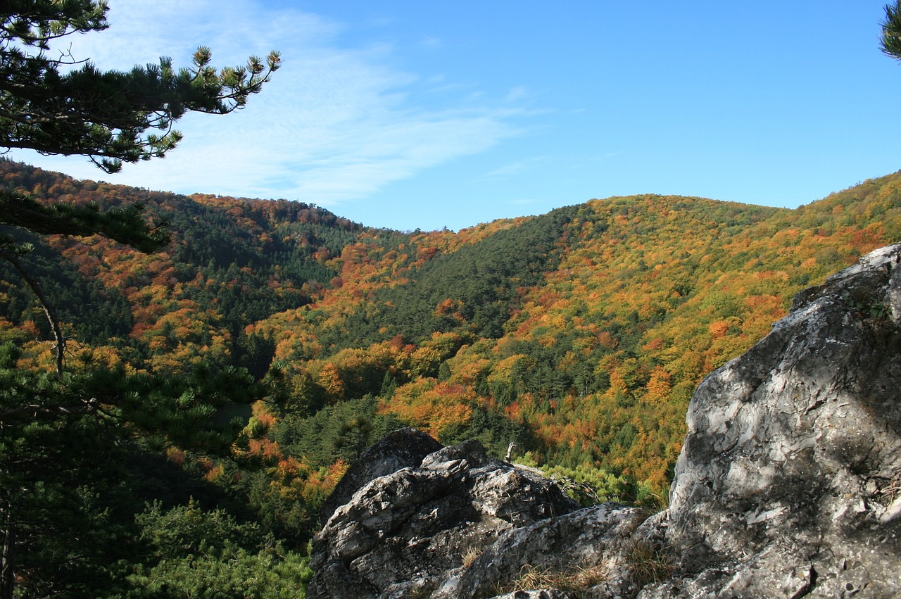 Rudens Nuotaika, Rokas, Ruduo, Gamta, Miškas, Kraštovaizdis, Nemokamos Nuotraukos,  Nemokama Licenzija