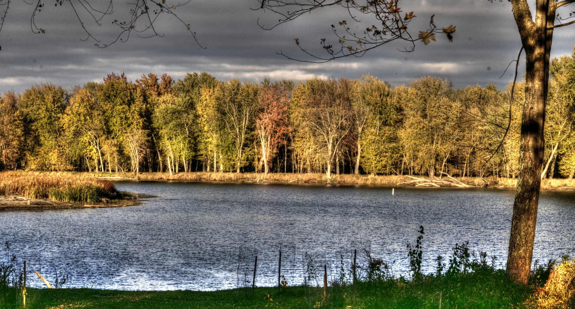 Upė,  Vanduo,  Srautas,  Ruduo,  Kritimas,  Lapija,  Gamta,  Lauke,  Winooski,  Vermont