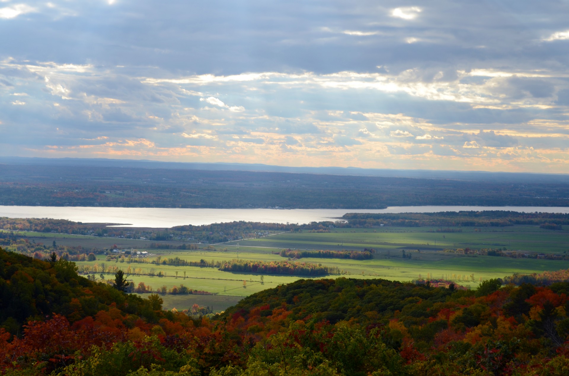 Kalvos,  Medžiai,  Miškas,  Miškai,  Dykuma,  Ruduo,  Quebec,  Otava,  Gatineau,  Kanada