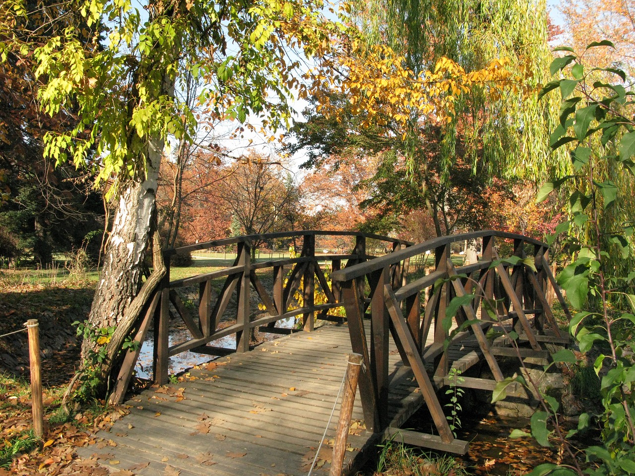 Rudens Medžiai, Kritimas, Ruduo, Natūralus, Ežeras, Kraštovaizdis, Nemokamos Nuotraukos,  Nemokama Licenzija