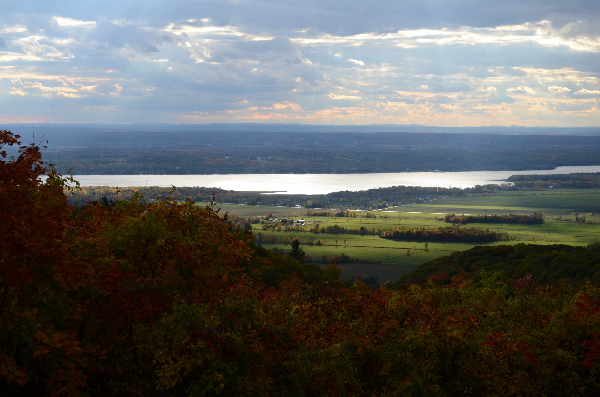 Kalvos,  Medžiai,  Miškas,  Miškai,  Dykuma,  Ruduo,  Quebec,  Otava,  Gatineau,  Kanada