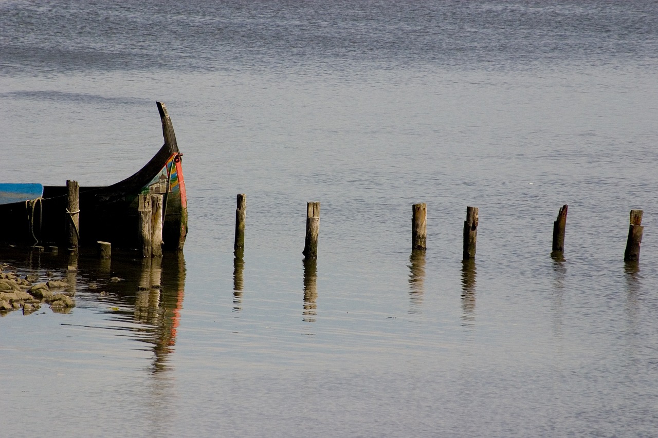 Aveiro, Ria De Aveiro, Portugal, Valtis, Upė, Vanduo, Atspindys, Ramus, Ramus, Medinis