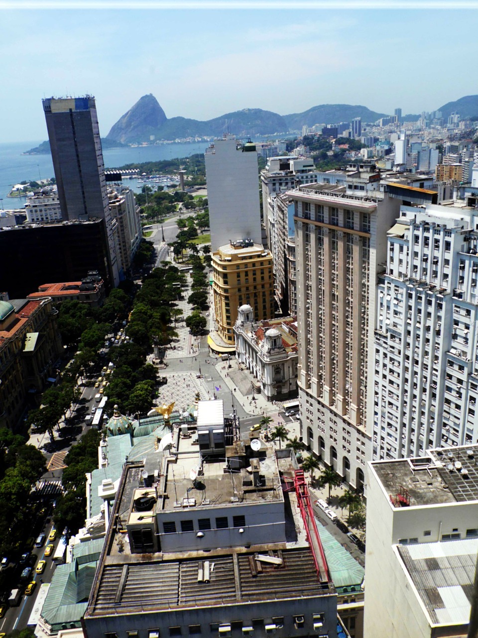 Avenida Rio Branco, Pastatai, Miestas, Popietė, Nemokamos Nuotraukos,  Nemokama Licenzija