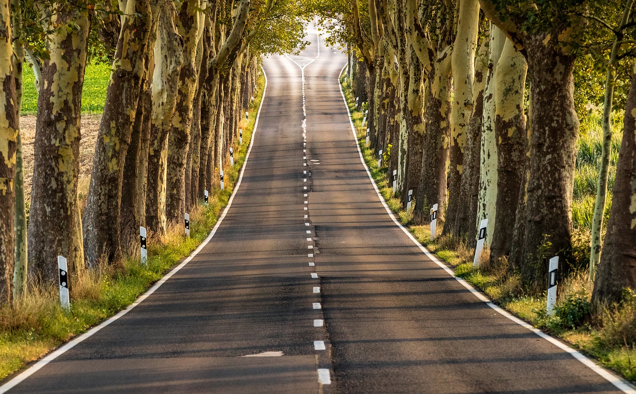 Avenue,  Kelių,  Kraštovaizdis,  Medžiai,  Pobūdį,  Medis Liniuotas Avenue,  Lapų Stogo,  Šešėlis,  Vokietija, Nemokamos Nuotraukos