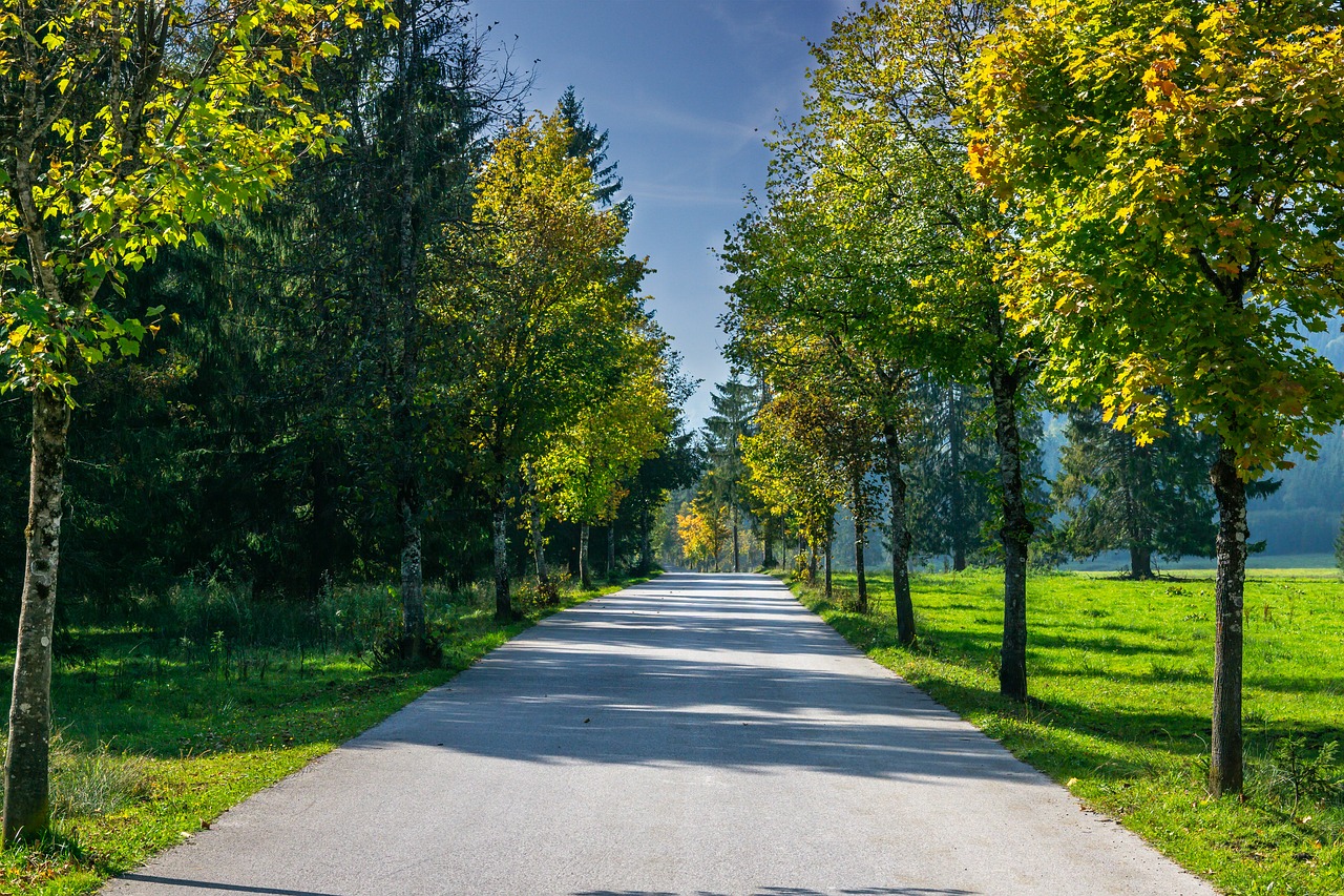 , Nemokamos Nuotraukos,  Nemokama Licenzija