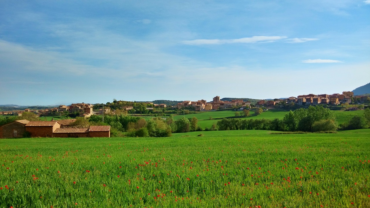 Aviá, Barcelona, Catalunya, Laukas, Prado, Gėlės, Žalias, Kraštovaizdis, Žolė, Gamta