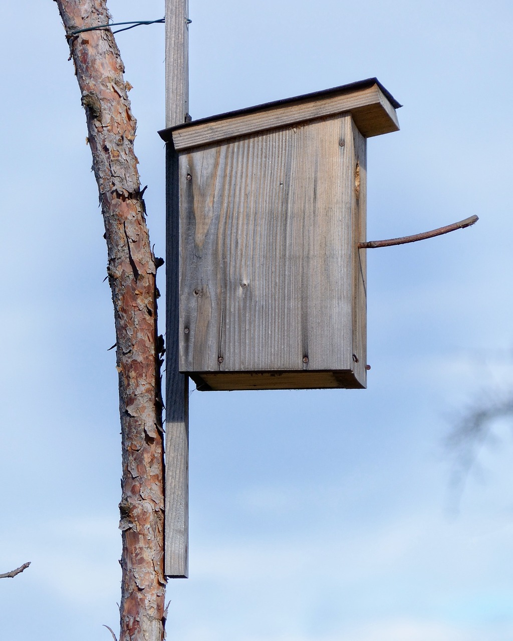 Aviary, Lizdų Vieta, Paukščių Maitintojas, Paukštis, Gyvūnų Gerovė, Inkubatorių, Lizdas, Inkubatorius, Veislė, Lizdas