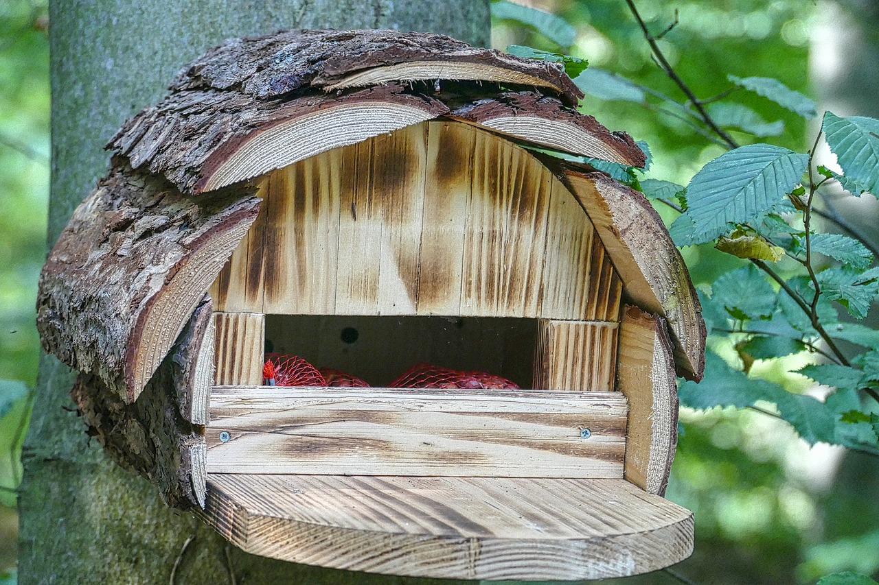 Aviary, Paukščių Maitintojas, Įdomus, Prieglobstis, Paukštis, Paukščiai, Einflugloch, Lizdas, Lizdų Vieta, Nemokamos Nuotraukos