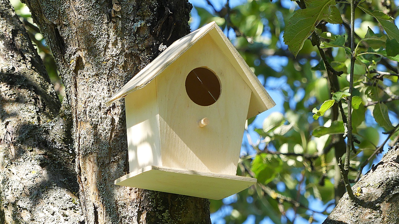 Aviary, Paukščio Lizdą, Lizdų Vieta, Paukščių Maitintojas, Lizdas, Nemokamos Nuotraukos,  Nemokama Licenzija