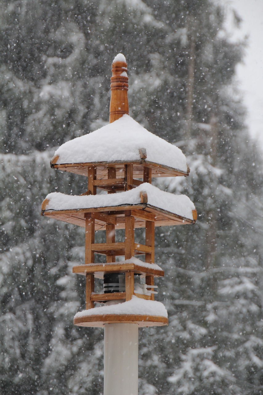 Aviary, Paukščių Maitintojas, Japanese, Šventykla, Lizdas, Paukštis, Gyvūnų Gerovė, Sniegas, Sniegas, Sodas