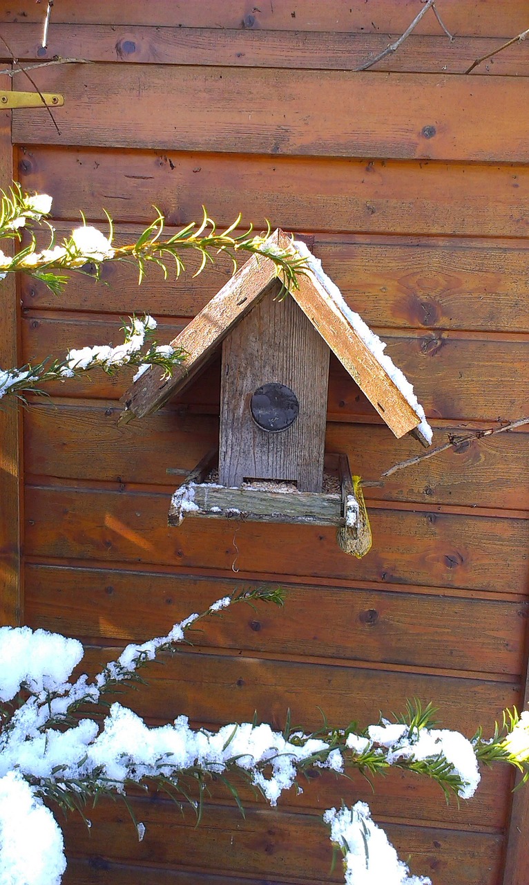 Aviary,  Paukščių Sėkla,  Gartendeko,  Maitinti,  Priklausyti,  Paukščių Maitintojas,  Maitinimas,  Paukščiai, Nemokamos Nuotraukos,  Nemokama Licenzija