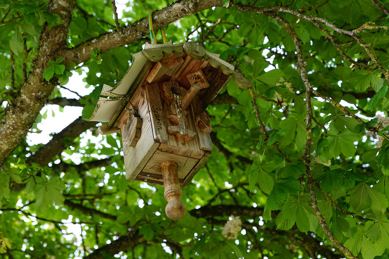 Aviary, Medis, Gamta, Nemokamos Nuotraukos,  Nemokama Licenzija