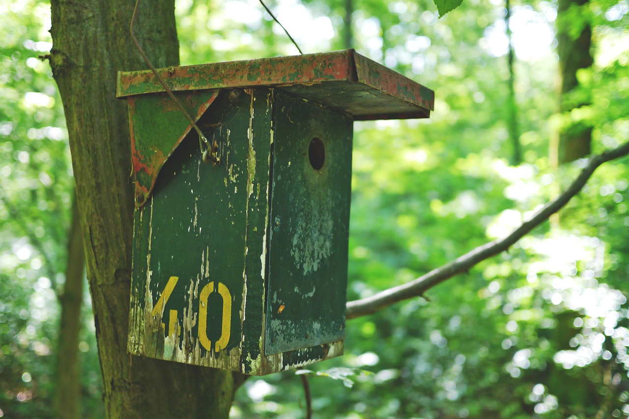 Aviary,  Paukštis,  Paukščių Maitintojas,  Namelis,  Lizdų Vieta,  Lizdas,  Lizdų Pagalba,  Veislė,  Lizdas,  Medis