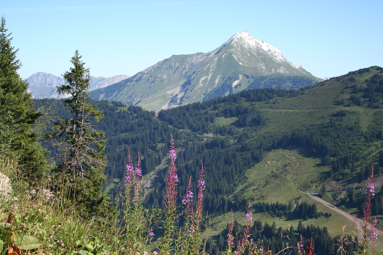 Avoriaz, Kalnas, Alpės, Vasara, Nemokamos Nuotraukos,  Nemokama Licenzija