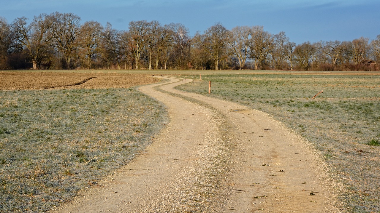 Toli, Pieva, Toli, Gamta, Kraštovaizdis, Laukas, Juostos, Morgenstimmung, Ariamasis, Sūpynės