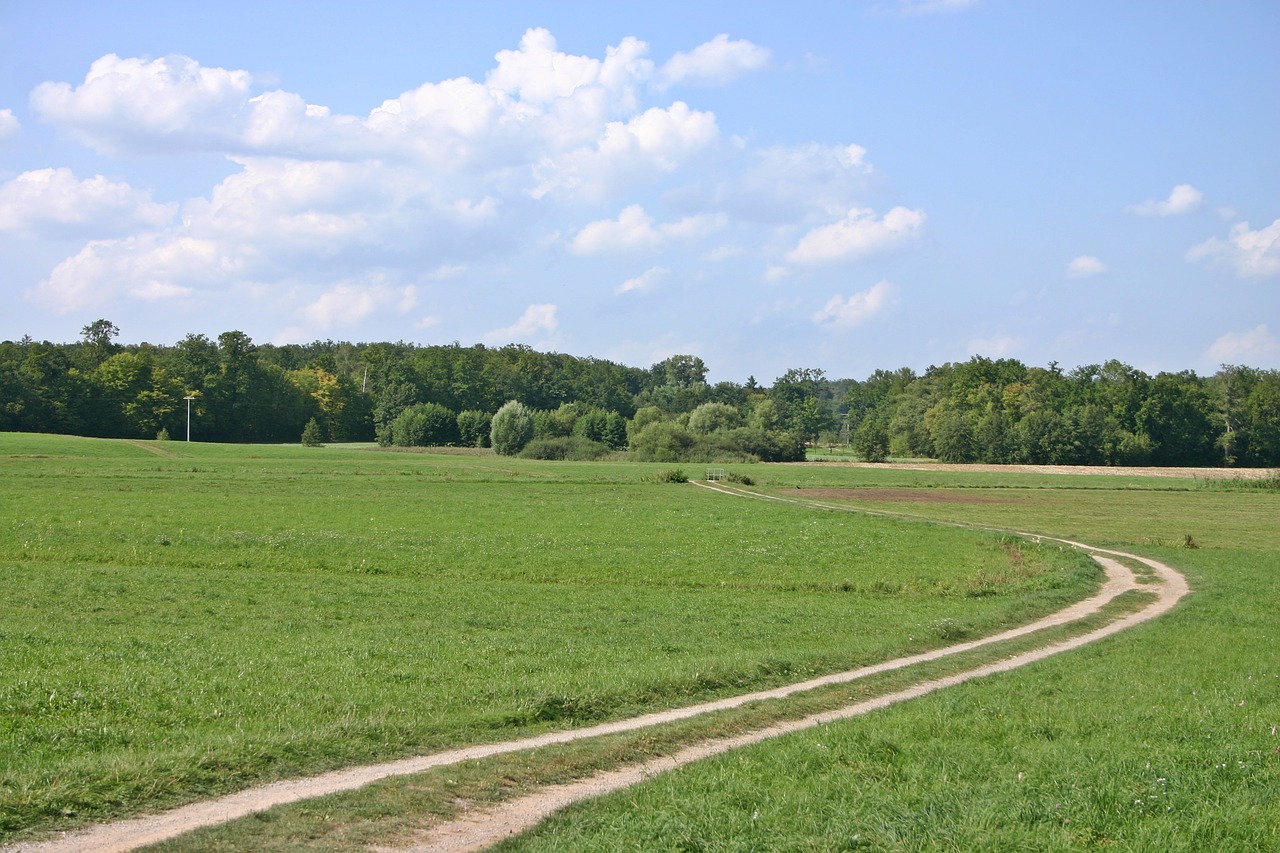 Toli, Lenkti, Sūkurys, Gamta, Kraštovaizdis, Laukas, Pieva, Gamtos Rezervatas, Medžiai, Žalias