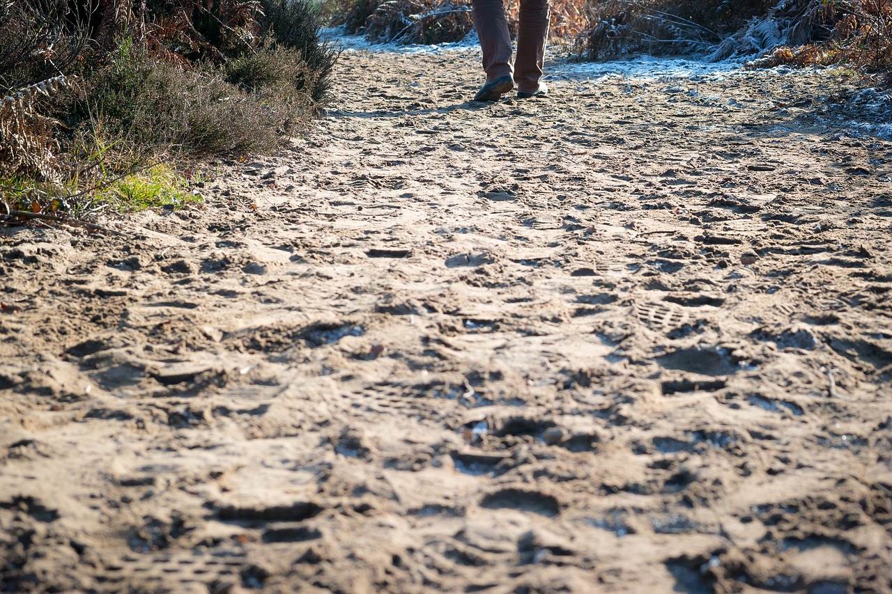 Toli, Pėdsakai, Smėlis, Spaudiniai, Eiti, Žygiai, Kojos, Pėdos, Pėdsakai, Smėlio