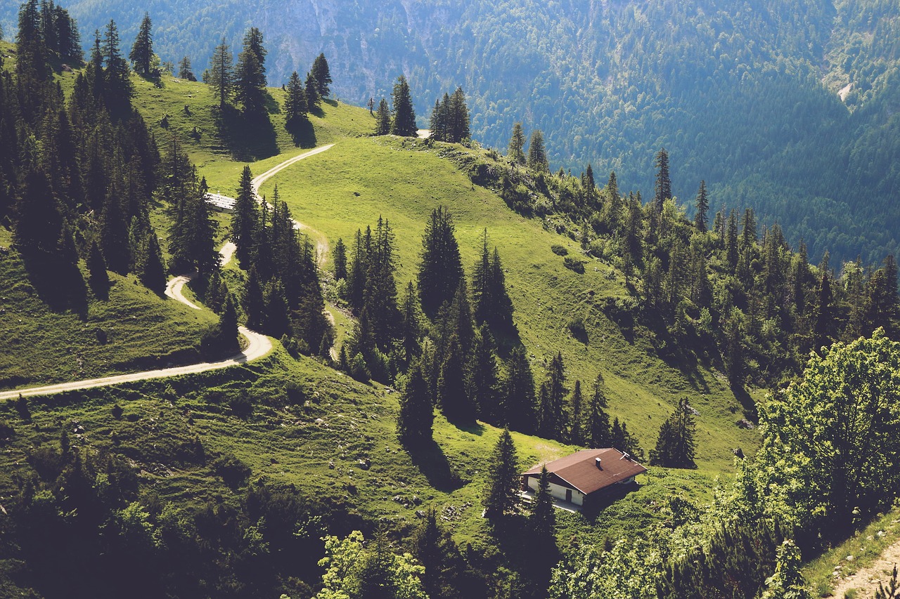 Toli, Namai, Gamta, Žygiai, Medžiai, Miškas, Nemokamos Nuotraukos,  Nemokama Licenzija