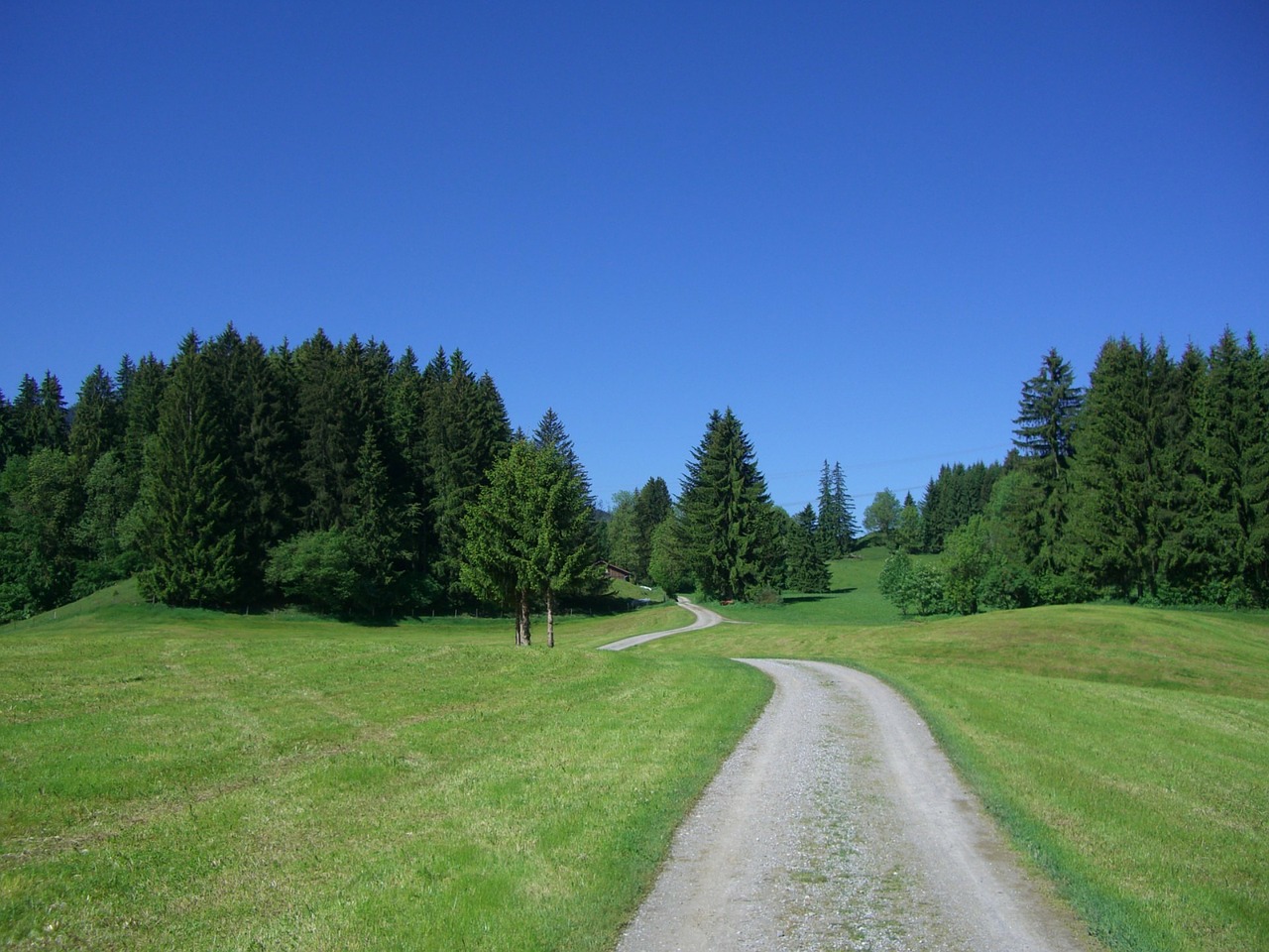 Toli, Dangus, Mėlynas, Pieva, Eglės, Žalias, Miškas, Gamta, Allgäu, Frisch