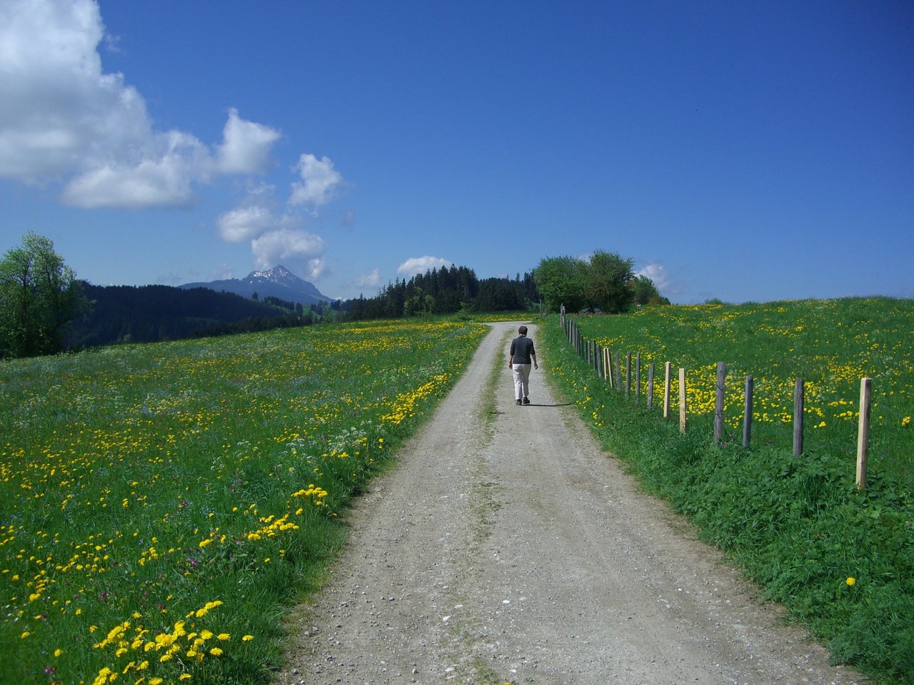 Toli, Panoramos Takas, Žygiai, Vaikščioti, Takas, Keliautojas, Pieva, Dangus, Mėlynas, Debesys