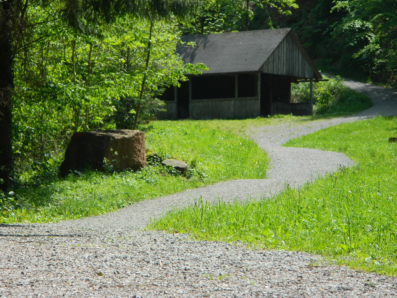 Toli, Namelis, Idiliškas, Skalė, Gamta, Pieva, Kraštovaizdis, Miškas, Žygiai, Žalias