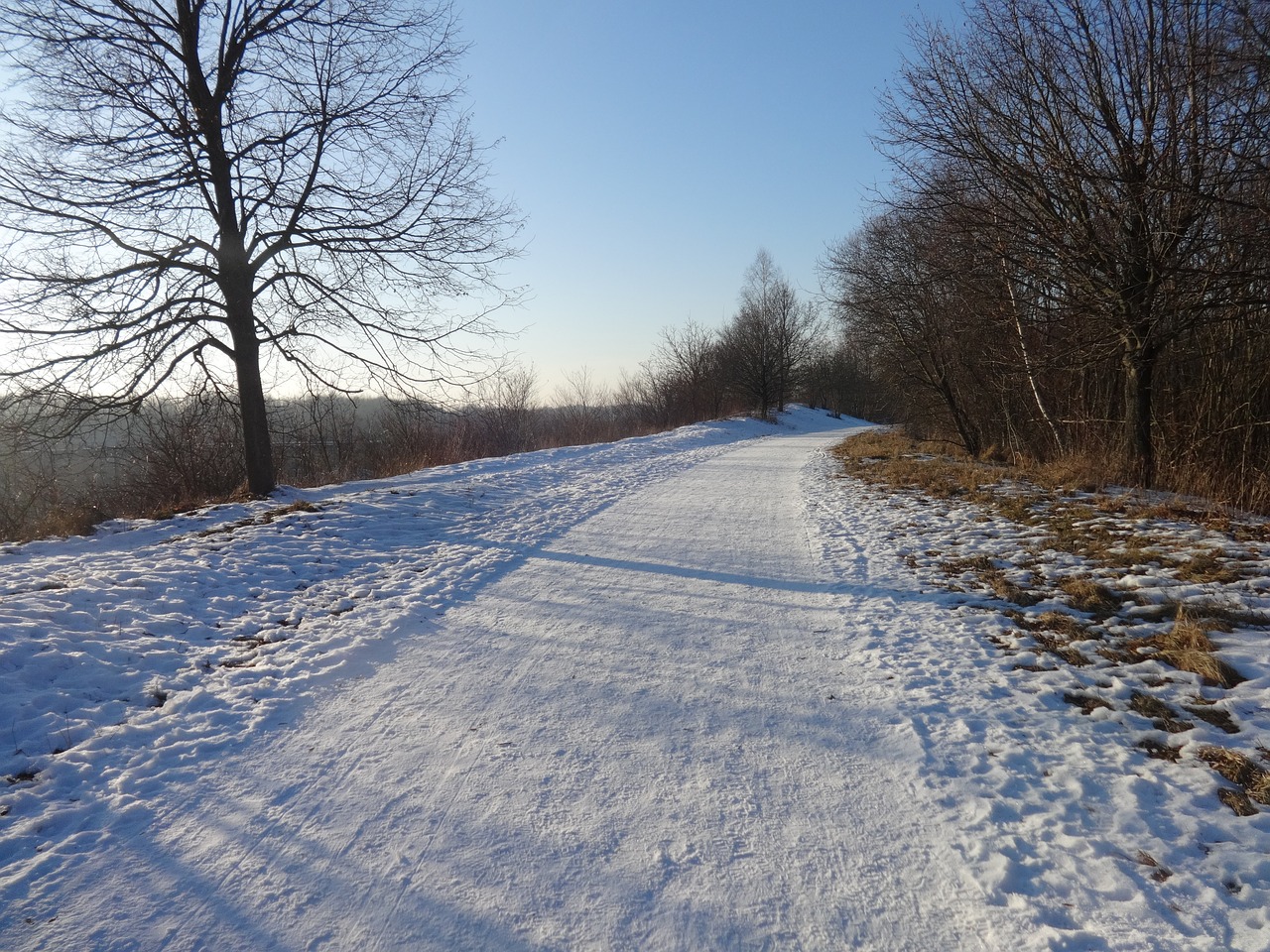 Toli, Žiema, Parkas, Sniegas, Žiemą, Medžiai, Gamta, Kraštovaizdis, Saulė, Žiemos Kelias