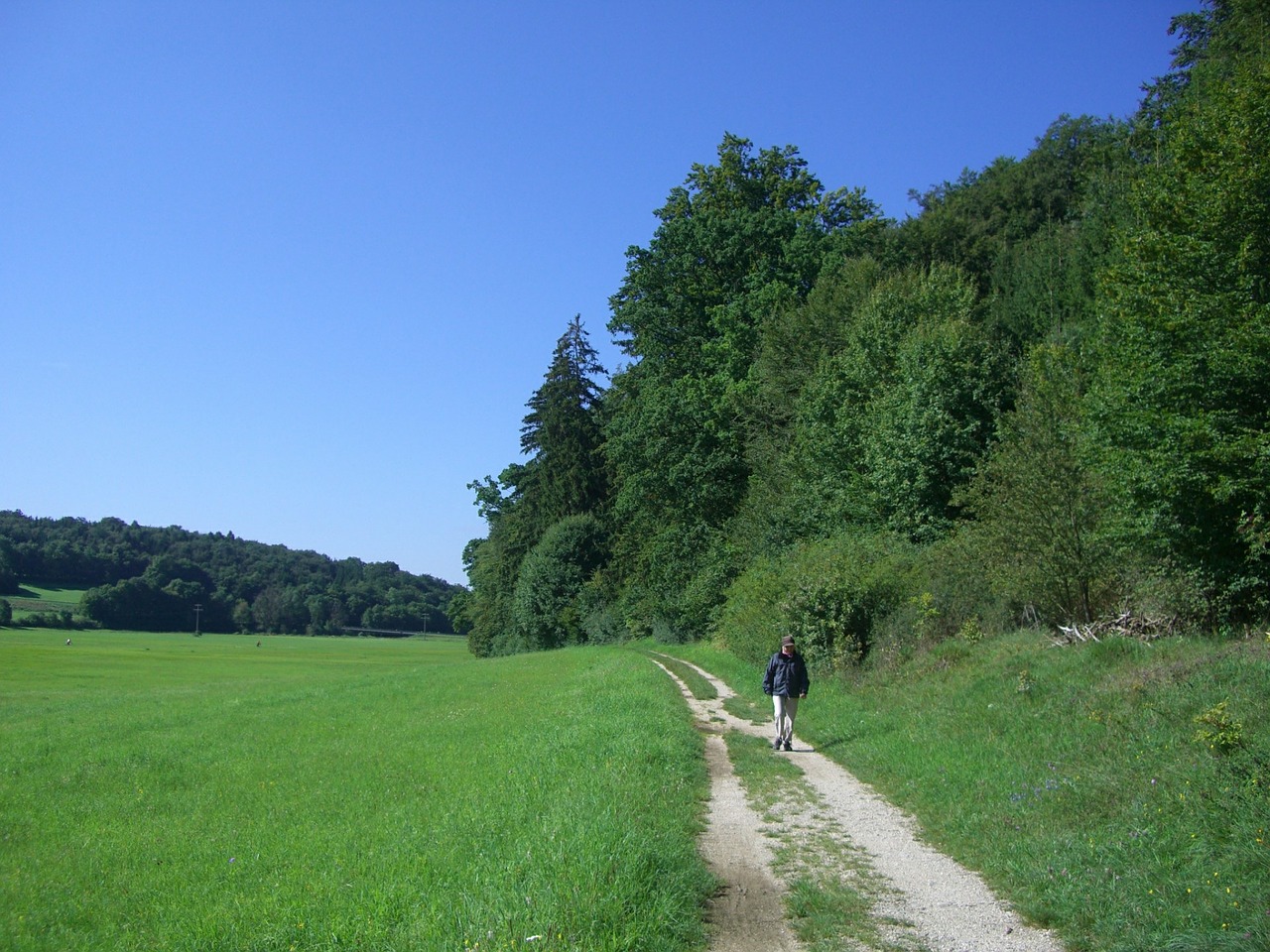 Toli, Takas, Keliautojas, Gamta, Pieva, Miškas, Promenada, Žygis, Jakobswegle, Dangus