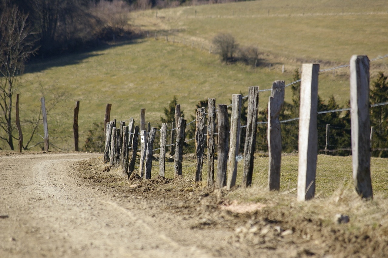 Toli, Tvora, Gamta, Kraštovaizdis, Nemokamos Nuotraukos,  Nemokama Licenzija