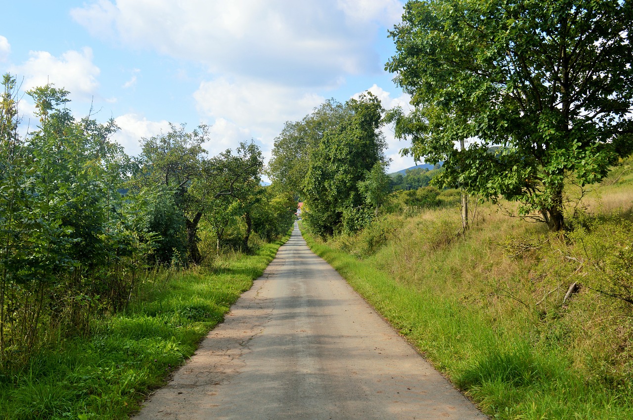 Toli, Kraštovaizdis, Gamta, Žalias, Alėja, Kelias, Takas, Žygiai, Medžiai, Poilsis