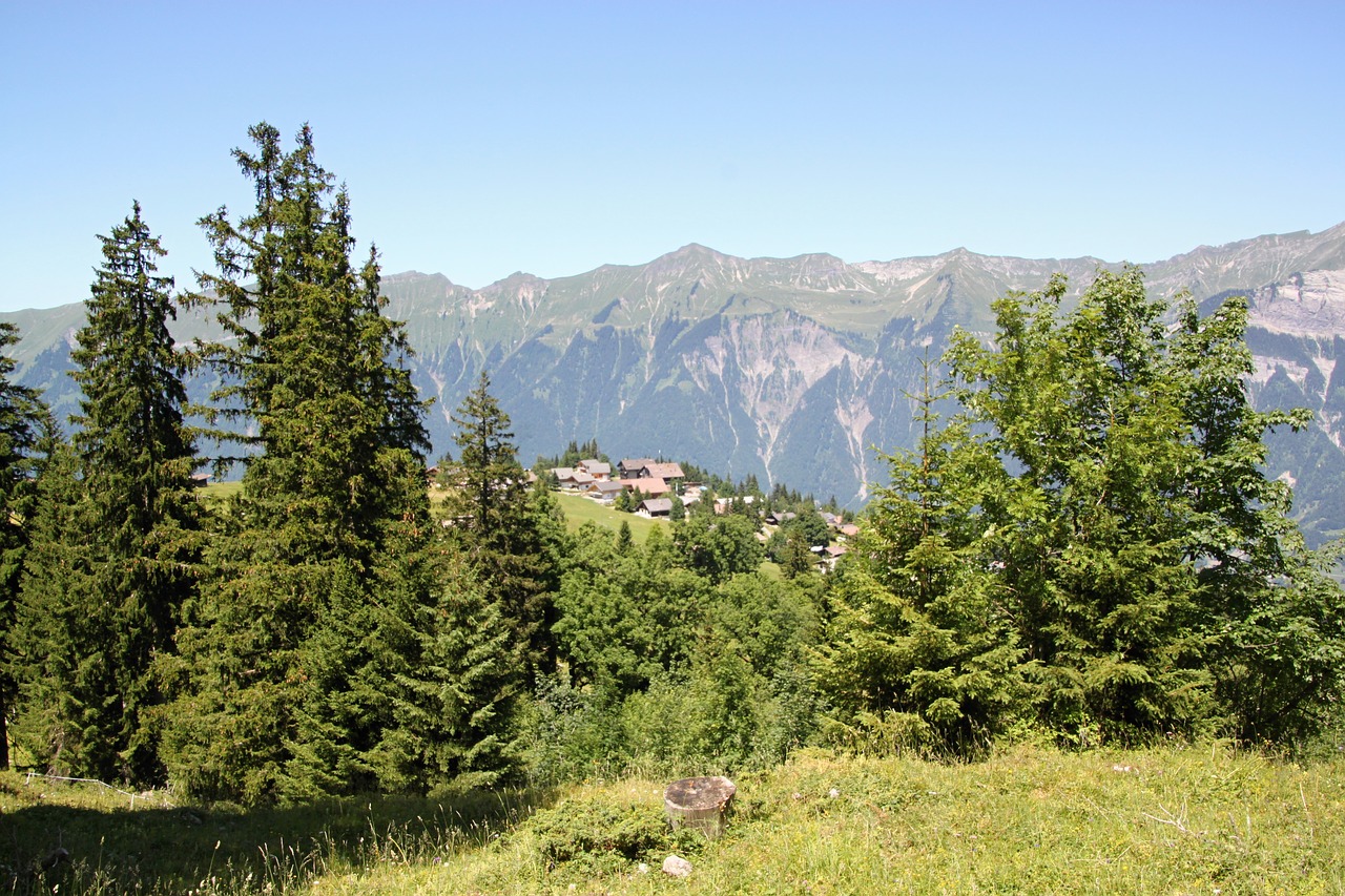 Axalp, Alpių, Ganykla, Kalnai, Vasara, Kraštovaizdis, Kalnų Pievos, Panorama, Dangus, Medžiai